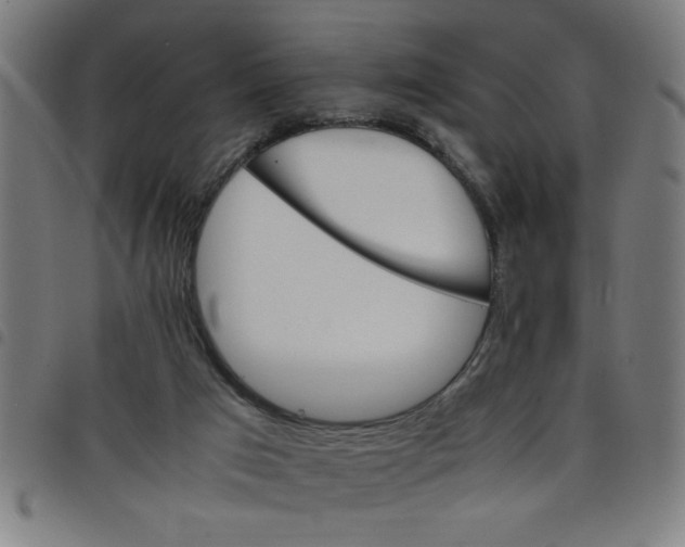 X0000098040017200804251050