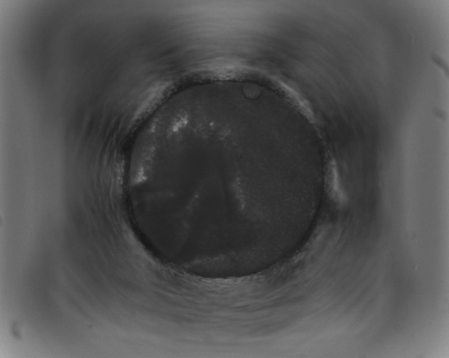 X0000098040018200804251050