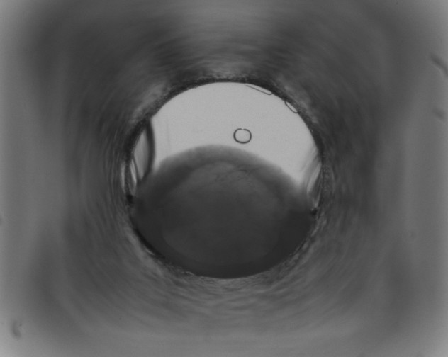 X0000098040019200804251050