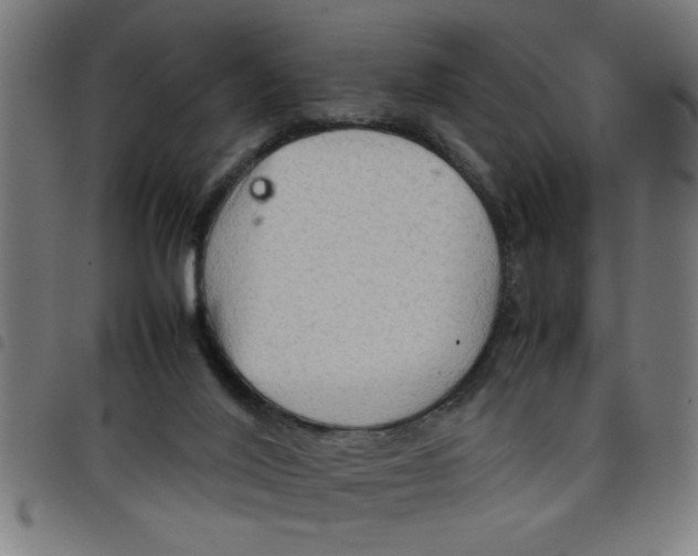 X0000098040020200804251050