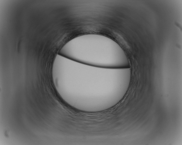 X0000098040021200804251050