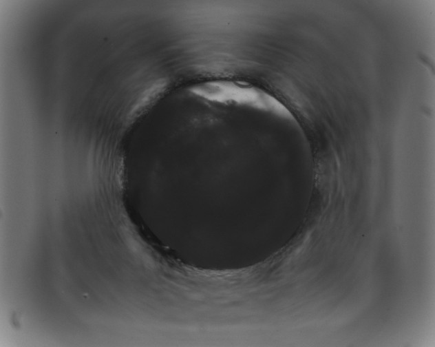 X0000098040023200804251050