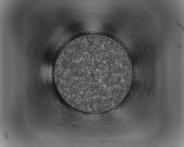 X0000098040024200804251050