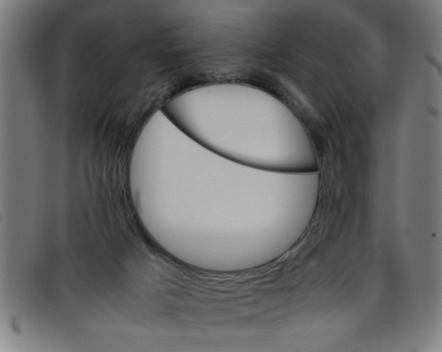 X0000098040025200804251050