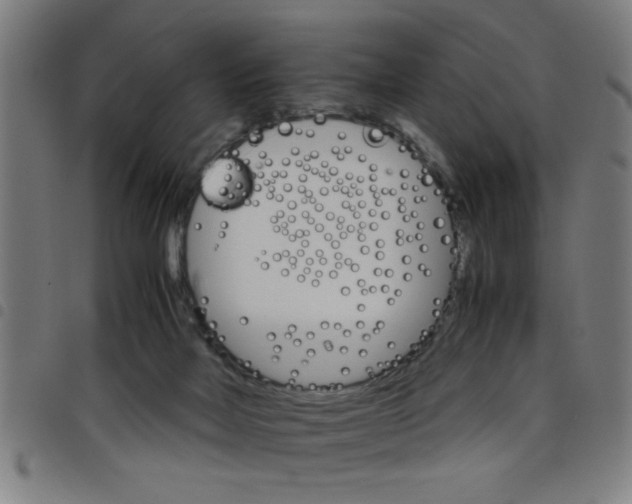 X0000098040026200804251050