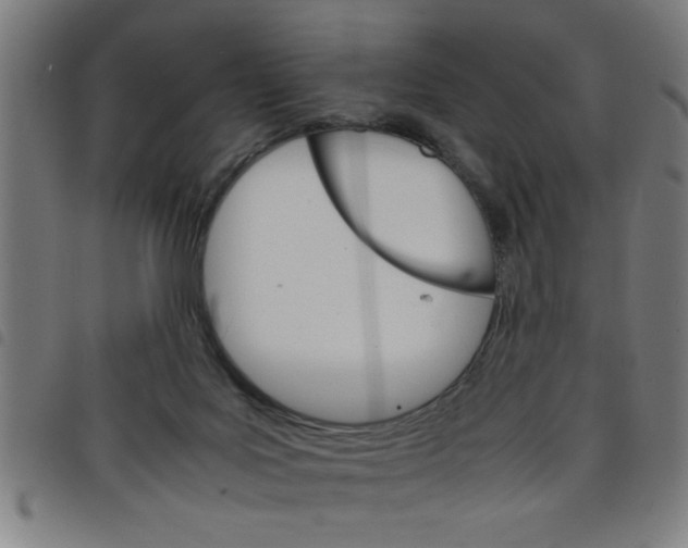 X0000098040027200804251050