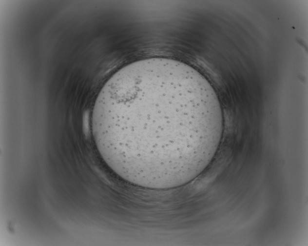 X0000098040028200804251050