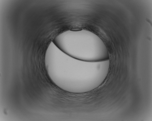 X0000098040029200804251050