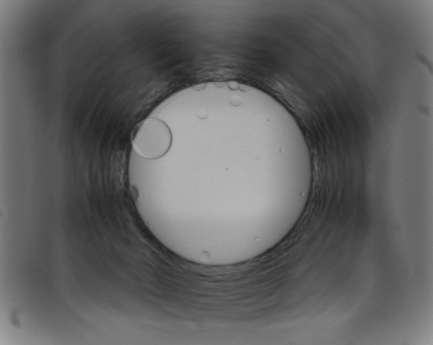 X0000098040030200804251050