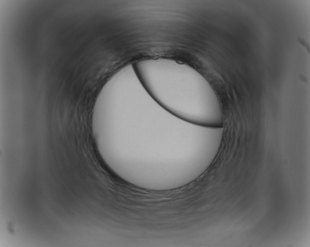 X0000098040031200804251050