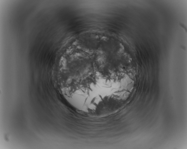 X0000098040032200804251050