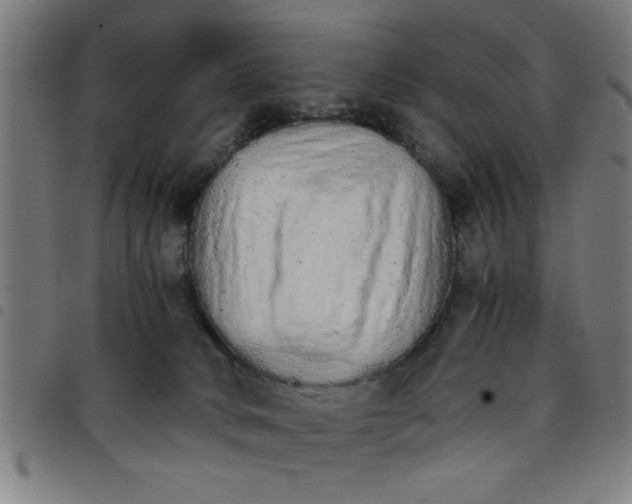 X0000098040034200804251050