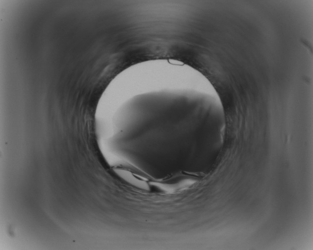 X0000098040035200804251050