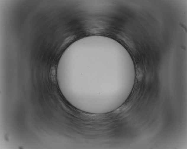 X0000098040036200804251050