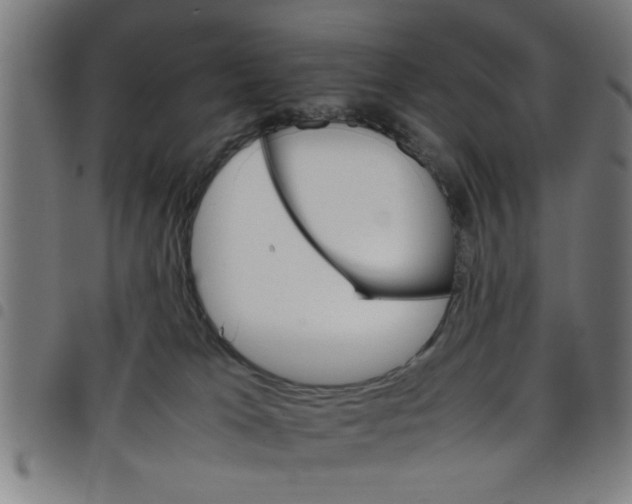 X0000098040037200804251050