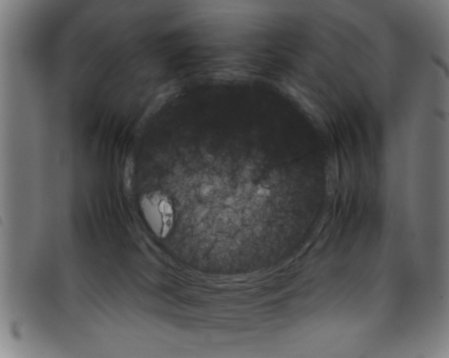 X0000098040038200804251050