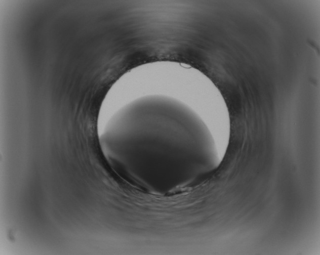 X0000098040039200804251050