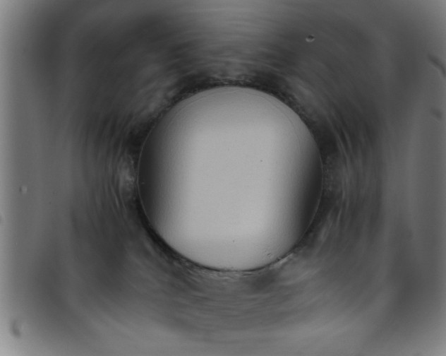 X0000098040040200804251050