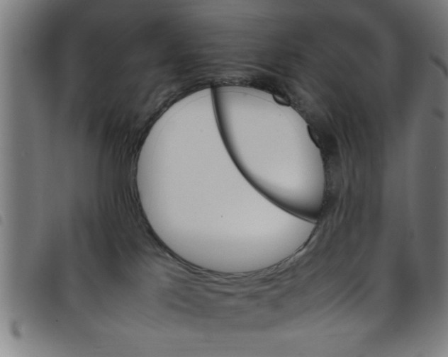 X0000098040041200804251050