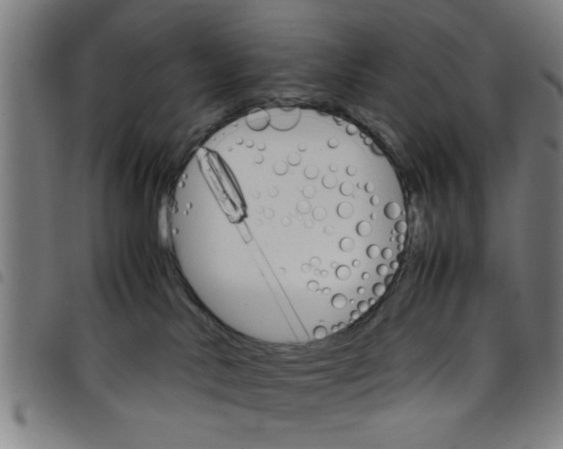 X0000098040042200804251050