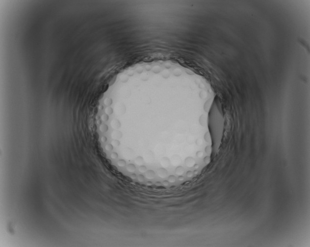 X0000098040043200804251050