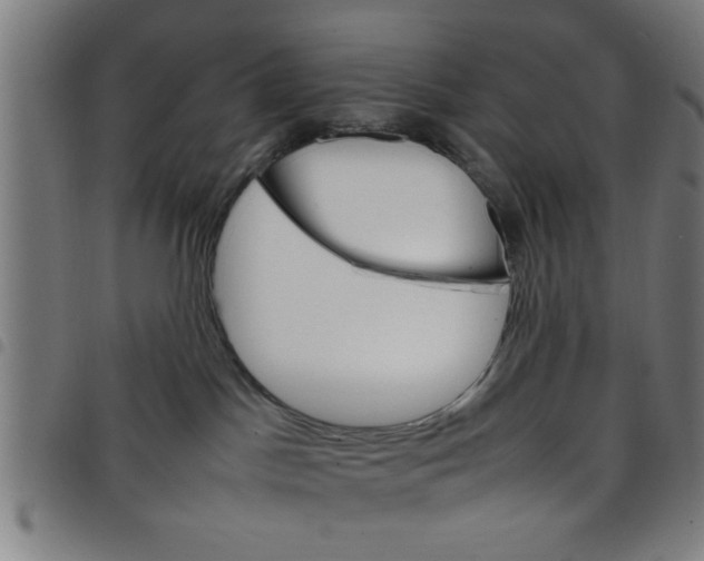 X0000098040045200804251050