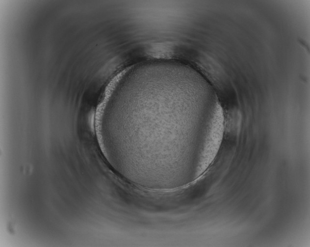 X0000098040047200804251050