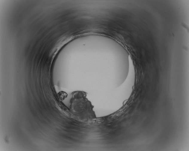 X0000098040050200804251049