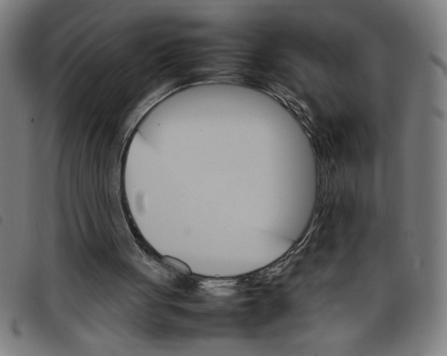 X0000098040051200804251049