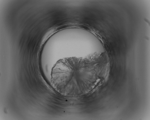 X0000098040053200804251049