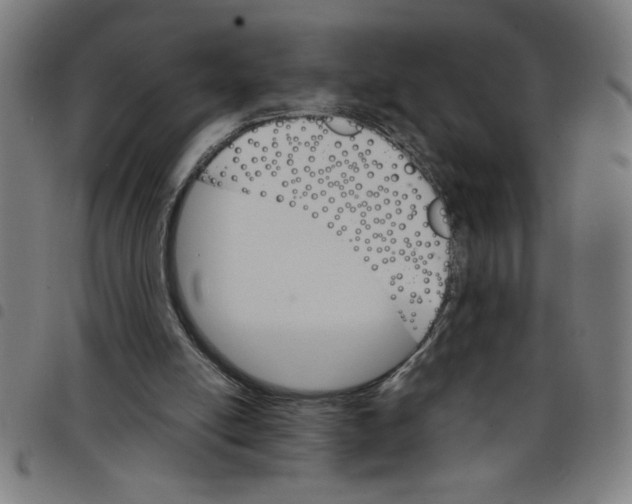 X0000098040054200804251049