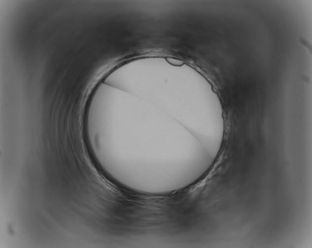 X0000098040055200804251049