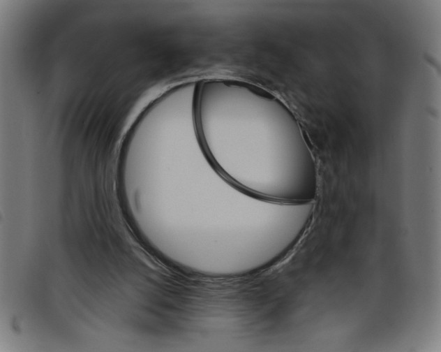 X0000098040056200804251049