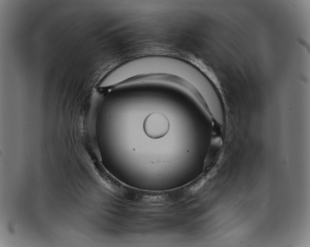 X0000098040057200804251049