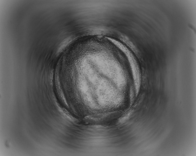 X0000098040058200804251049