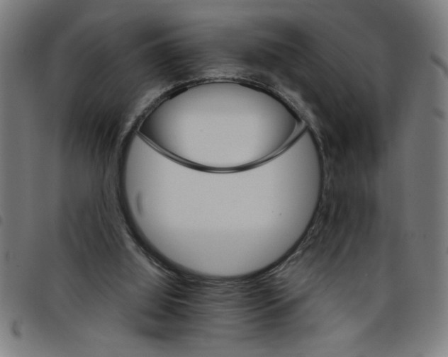 X0000098040060200804251049