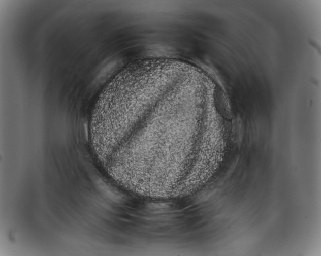 X0000098040061200804251049