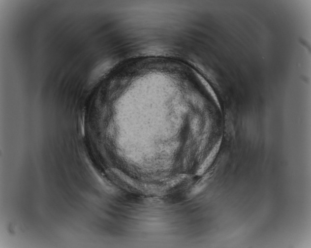 X0000098040062200804251049