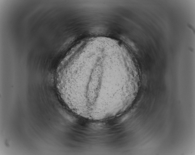 X0000098040065200804251049