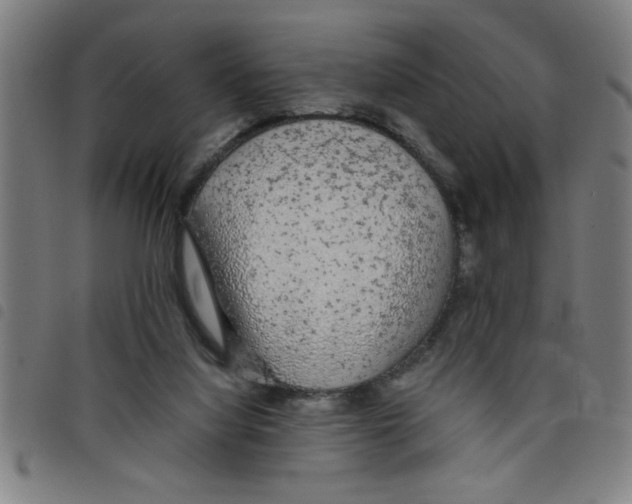 X0000098040068200804251049