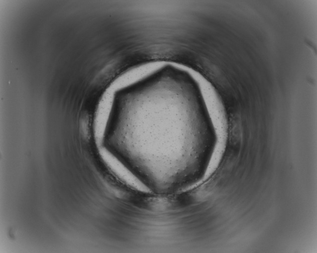 X0000098040074200804251049