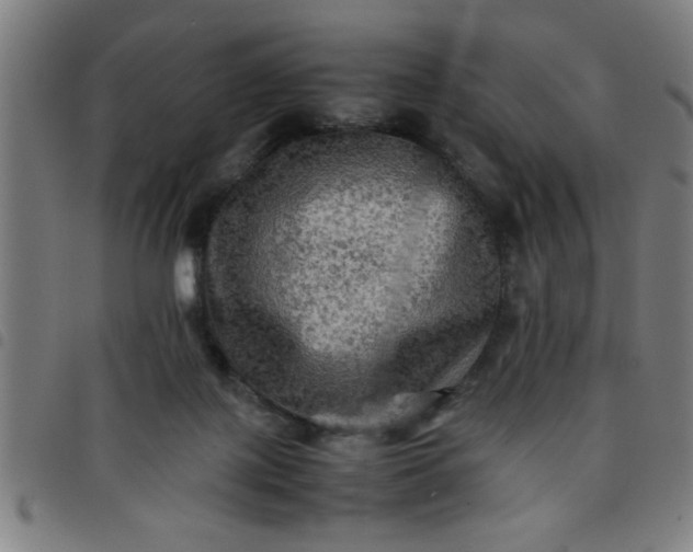 X0000098040075200804251049