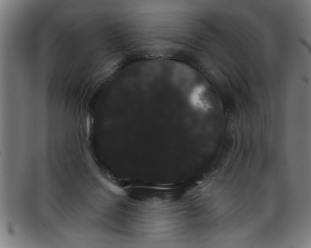 X0000098040076200804251049