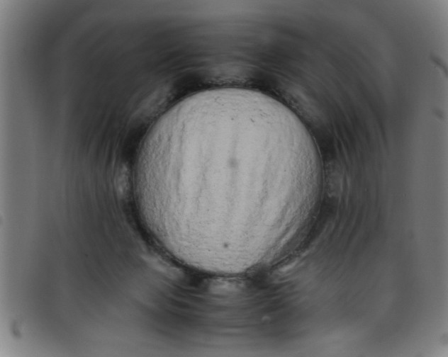 X0000098040077200804251049