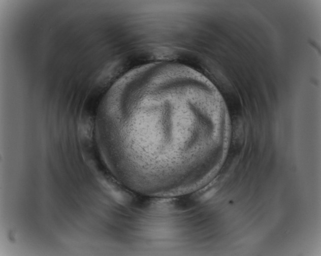 X0000098040078200804251049