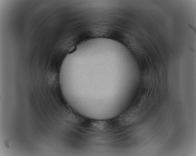 X0000098040079200804251049