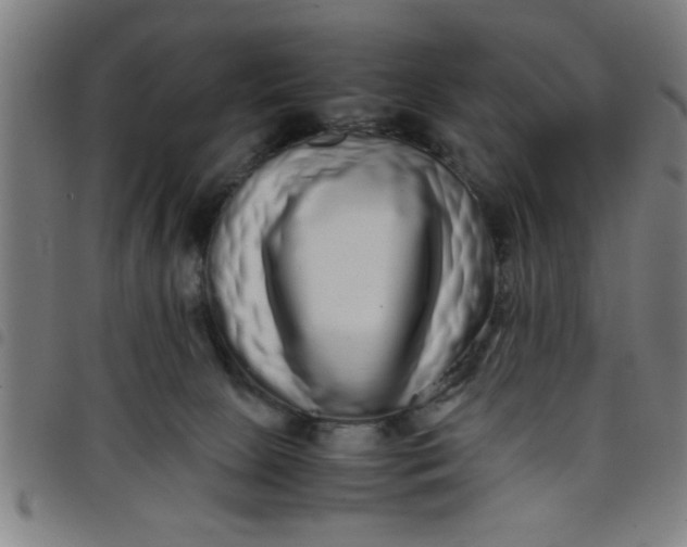 X0000098040081200804251050