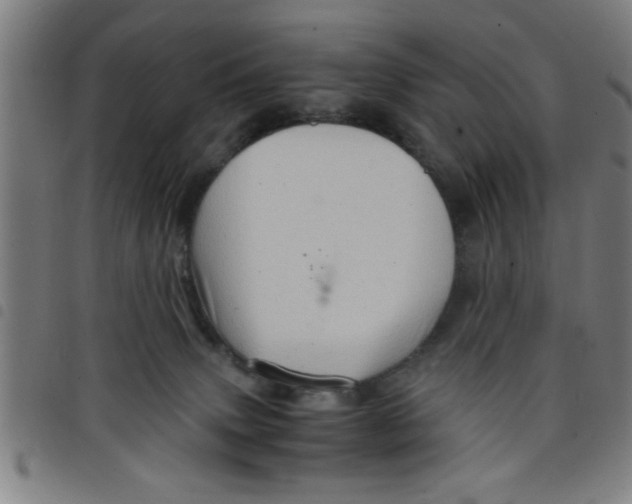 X0000098040083200804251050