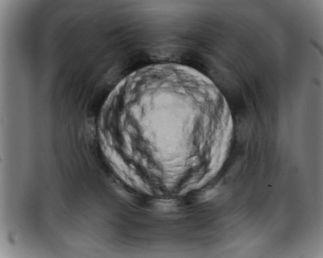 X0000098040085200804251050