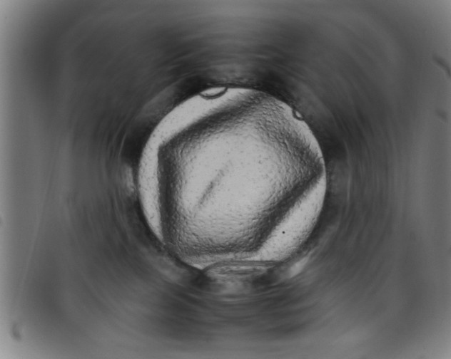 X0000098040089200804251050